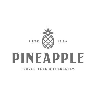 Pineapple PR - Atlanta marketing agency - Ember and Rise Growth Co