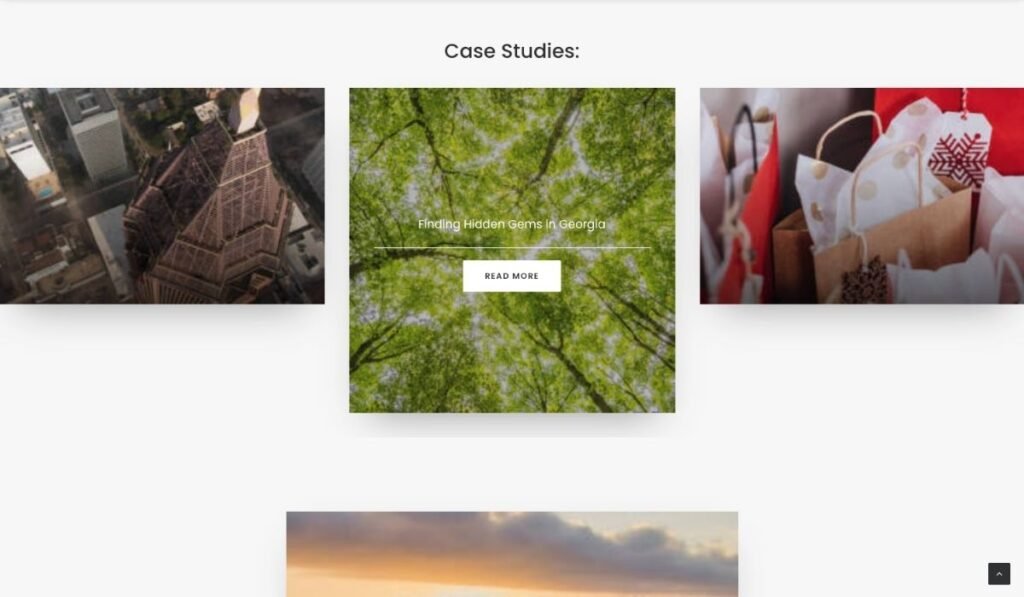 Pineapple PR case studies displayed on the previous website